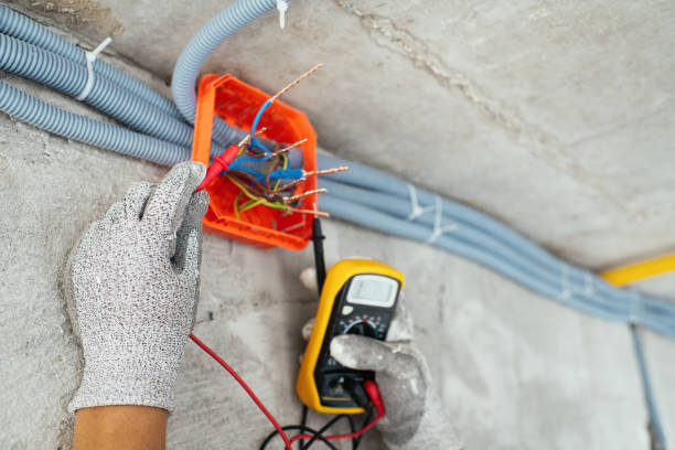 Best Electrical System Inspection  in Belle Isle, FL